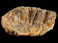 Rocks