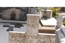 A closer view of the family plot of Nikolaos E. Gavrilis
