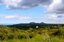 Trifyllianika 