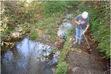 Cleaning the watercourse just ...