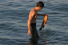 theo fardoulys of agia pelagia and sydney,with a large cod he caught near ''kaki lagada'