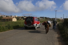 ON THE ROAD TO POTAMO 