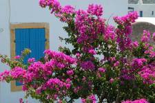Introducing Kostas Kranis.

His photographic gallery - which includes an exhibition of 
