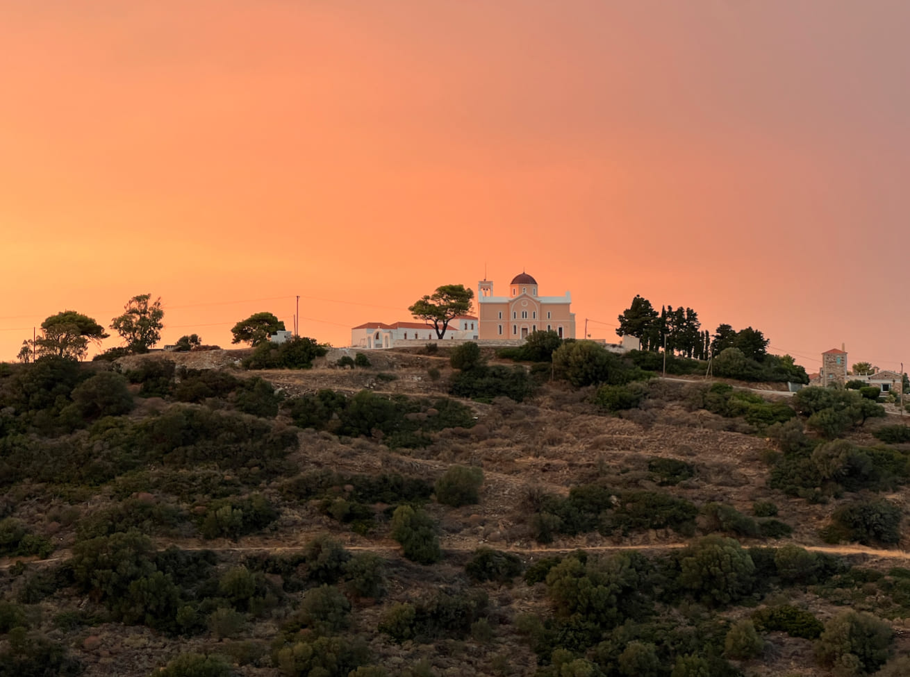 Matina (Stamatina) Aroney - formerly Glitsos 