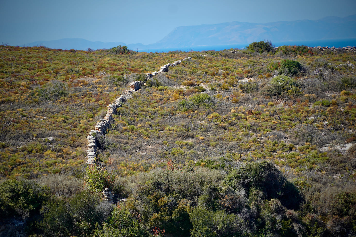 Minoan Sanctuary 