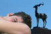 ippolytos.com 