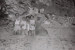 Vintage Photos - Katsoulis Dimitris - 08-02-2025 