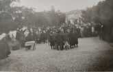 Vintage Photos - Katsoulis Dimitris - 28-10-2025 [3/3]