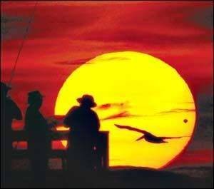 Venus - the PLANET - pelican in motion, across the face of the rising sun, with the planet Venus, as seen from Flagler Beach Pier in Daytona Beach, Daytona, USA. - Venus Transit as seen from  Flagler Beach Pier in Daytona Beach. Jim Tiller. Daytona.jpg