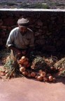 Plaiting the onions 