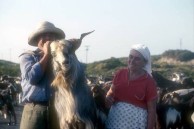 Peter and Stamatoula Gika and Goats 