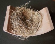 Bird nest on tile 