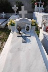 Grave of George N. Veneris, Drymonas 
