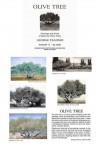 George Tzanne's Olive Tree Exhibition 