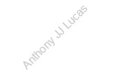 Anthony JJ Lucas 
