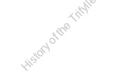 History of the Trifylleio Foundation. 50 Years Experience. 