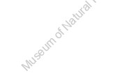 Museum of Natural History 