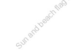 Sun and beach flag the future. 