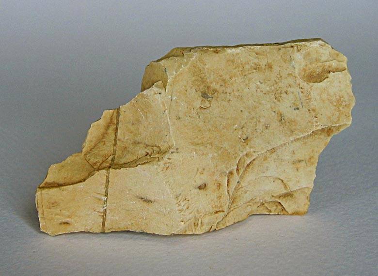 Rocks - Almond Stone