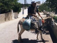 The donkey man IV 