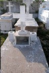 Family Plot of the Dimitrios Kasmiatis family 