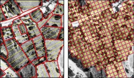 Archaeological Survey: Methods and Preliminary Results - Archaeology Kastri explored by tractwalking 1