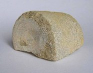Drilled Sandstone Core 