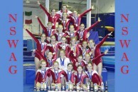 New South Wales Amateur Gymnastics Team. 2006. 