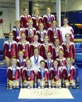 New South Wales. Amateur Gymnastics. 2006. Team. 