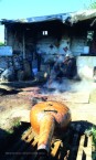 Making the tsipoura, otherwise known as tsipouro 