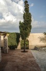 The newly landscaped courtyard of the Kythera Municipal Library, Kondolianika 