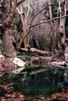 Watermills at Milopotamos in January 