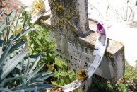 Fardoulis grave marker - Potamos Cemetery (1 of 2) 