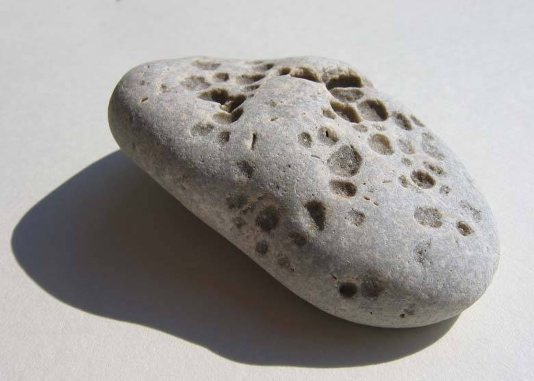 Rocks Limestone with Holes