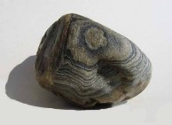 Gneiss 