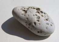 Limestone with Holes 