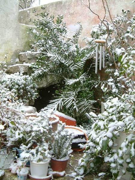 Snow in 2004 I 