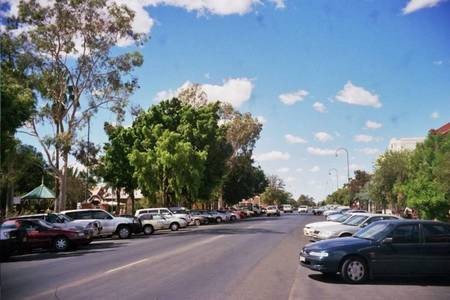 Jack (Evangelos) Vanges - Nyngan Tree scape