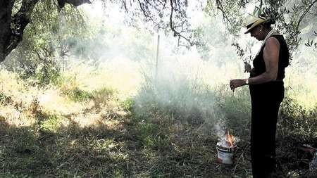 Spirits of ‘42nd Street’ - Smoking ceremony Reg Saunders’ daughter Dorothy in the olive grove. Picture Michael Sweet