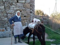 Olive picker at Perlegianika 