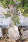 Unknown Tomb, Tryfillianika 