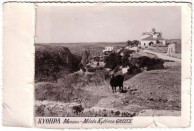 Mitata Vintage Postcard 