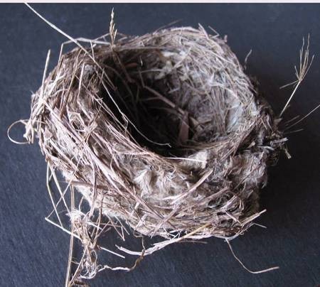 Bird nest from Fratsia 