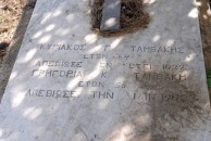 Tambakis Family Plot - Logothetianika (Close Up) 