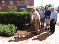 The Founders tree was planted on the corner of Cunningham Street, Bingara 