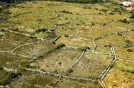 Generations of relatives built these walls. 