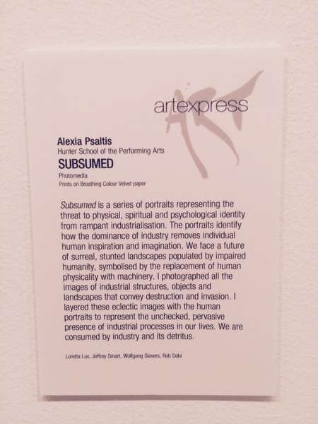 Subsumed. By Alexis Psaltis. The Rationale of the art work 