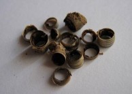 Rings of a dead Vromopapadia 