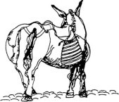 Donkey icon of the Karavaitiko Symposium. 