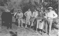 Koroneos Family, Karavas, uryazzi-ing - ploughing. 1930's. 